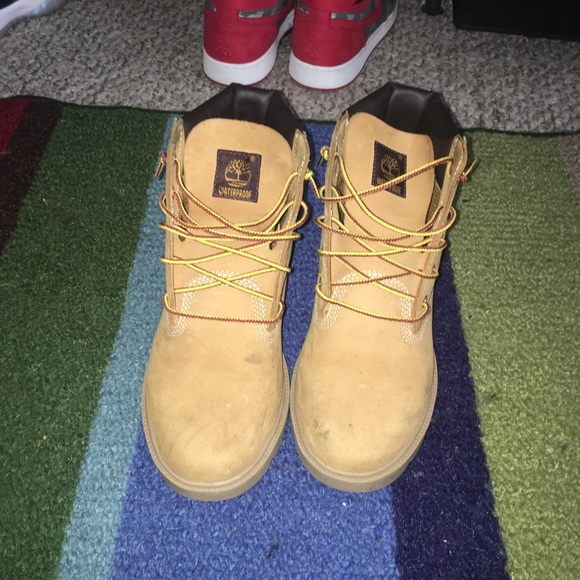 Timberlands - Picture 4 of 4